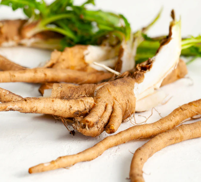 Chicory root inulin